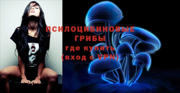 спайс Алзамай