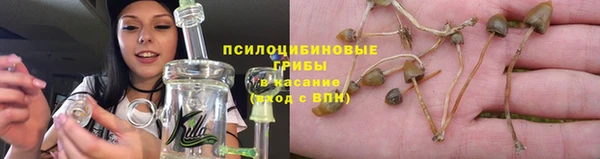 спайс Алзамай