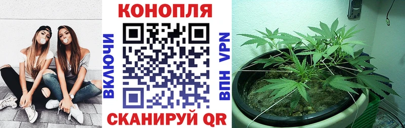ссылка на мегу вход  Егорьевск  Бошки Шишки ГИДРОПОН 